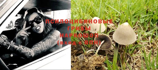 дмт Алексеевка